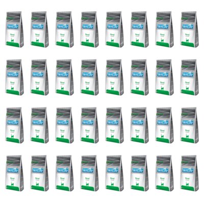 Karma dla kota FARMINA VetLife Renal 32 x 400 g