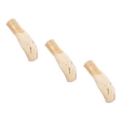 Gryzak dla psa 4DOGS Patyk z drzewa kawowego S (3 szt.)