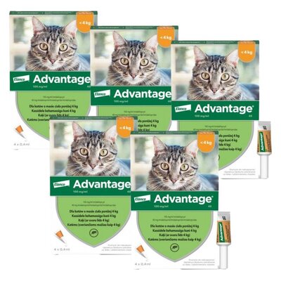 Krople na pchły ADVANTAGE Małe koty 20 x 0.4 ml