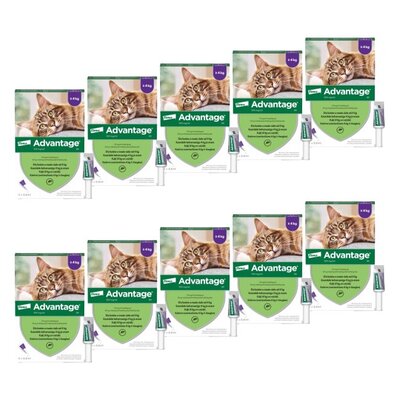 Krople na pchły ELANCO Advantage Duże koty 40 x 0.8 ml