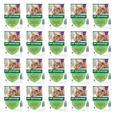 Krople na pchły ELANCO Advantage Duże koty 80 x 0.8 ml
