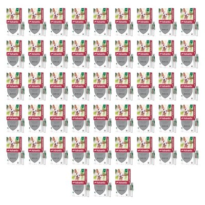 Krople na pchły i kleszcze ADVANTIX Spot-on Bardzo małe psy (do 4 kg) 48 x 0.4 ml